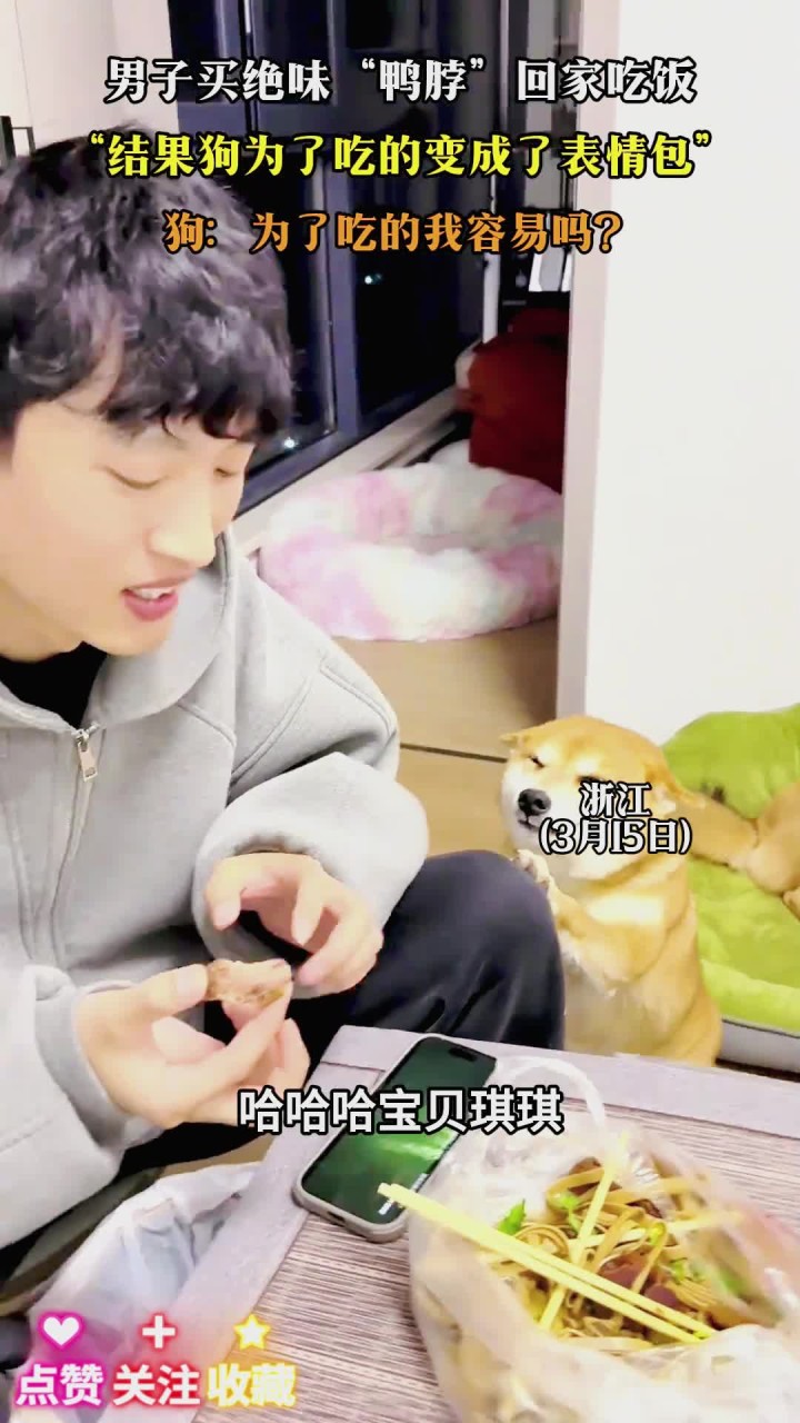 男子买绝味“鸭脖”回家吃饭,“结果狗为了吃的变成了表情包”