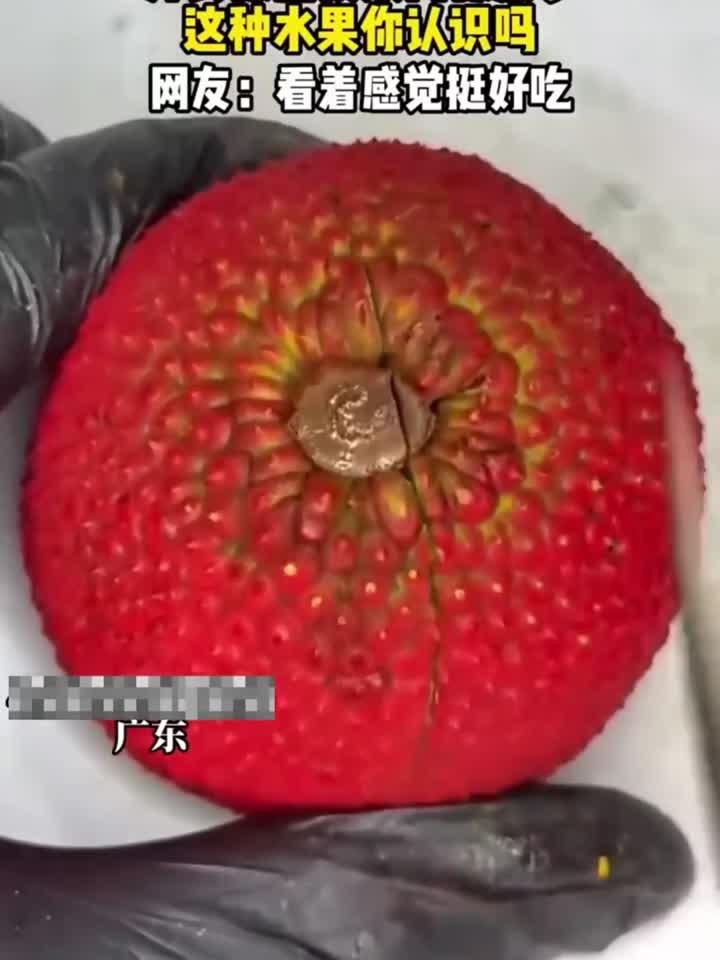 外表看着像荔枝果肉又像菠萝,这是什么水果