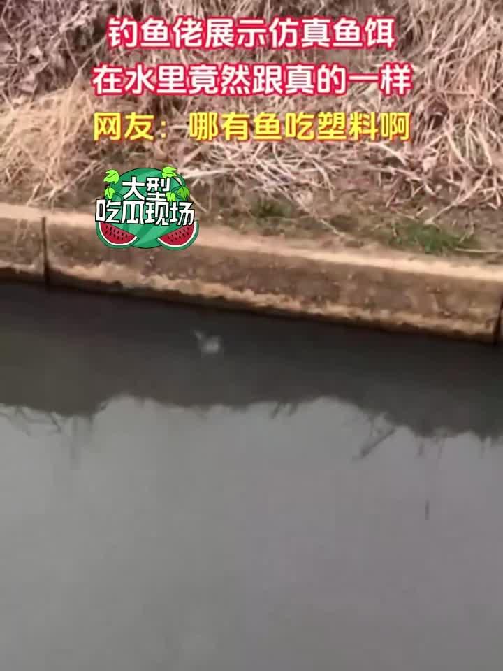 钓鱼佬展示仿真鱼饵,在水里谁还分的清真假