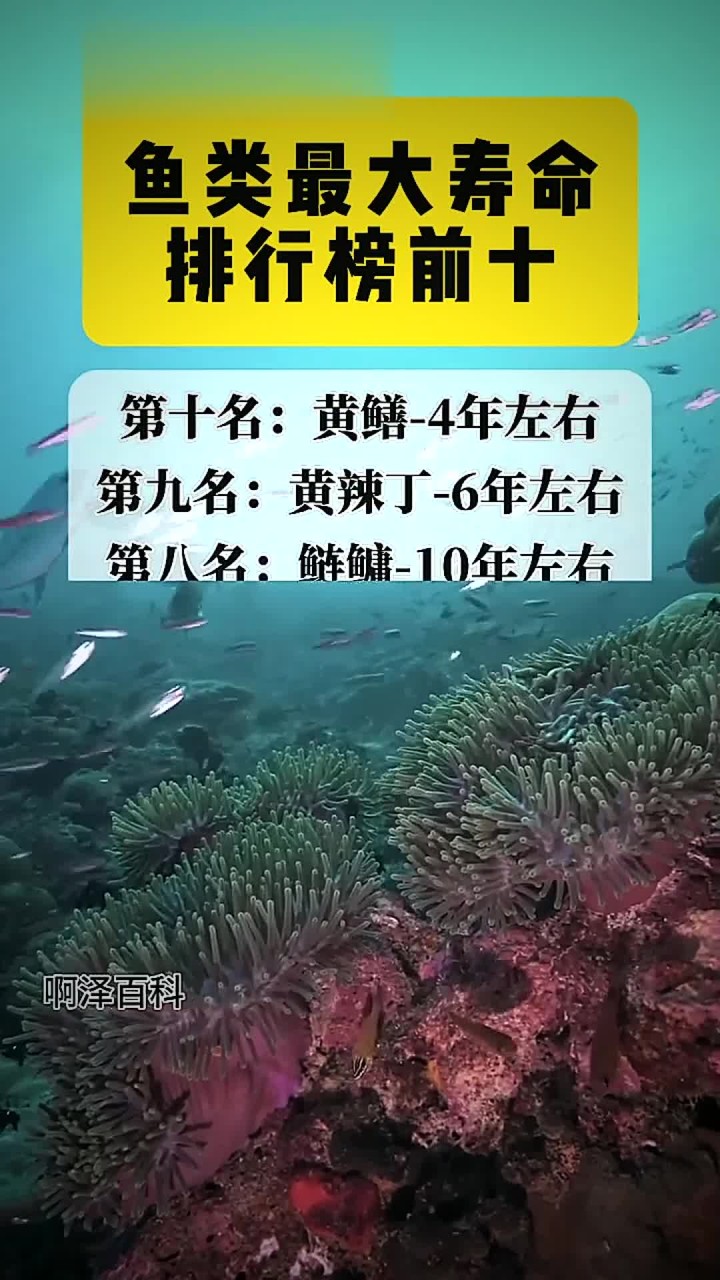 鱼类最大寿命排行榜前十