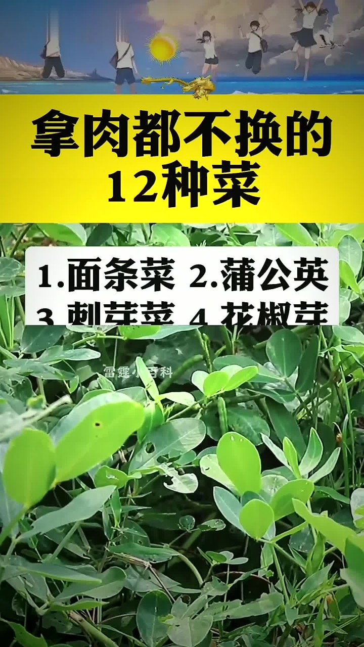 拿肉都不换的12种菜