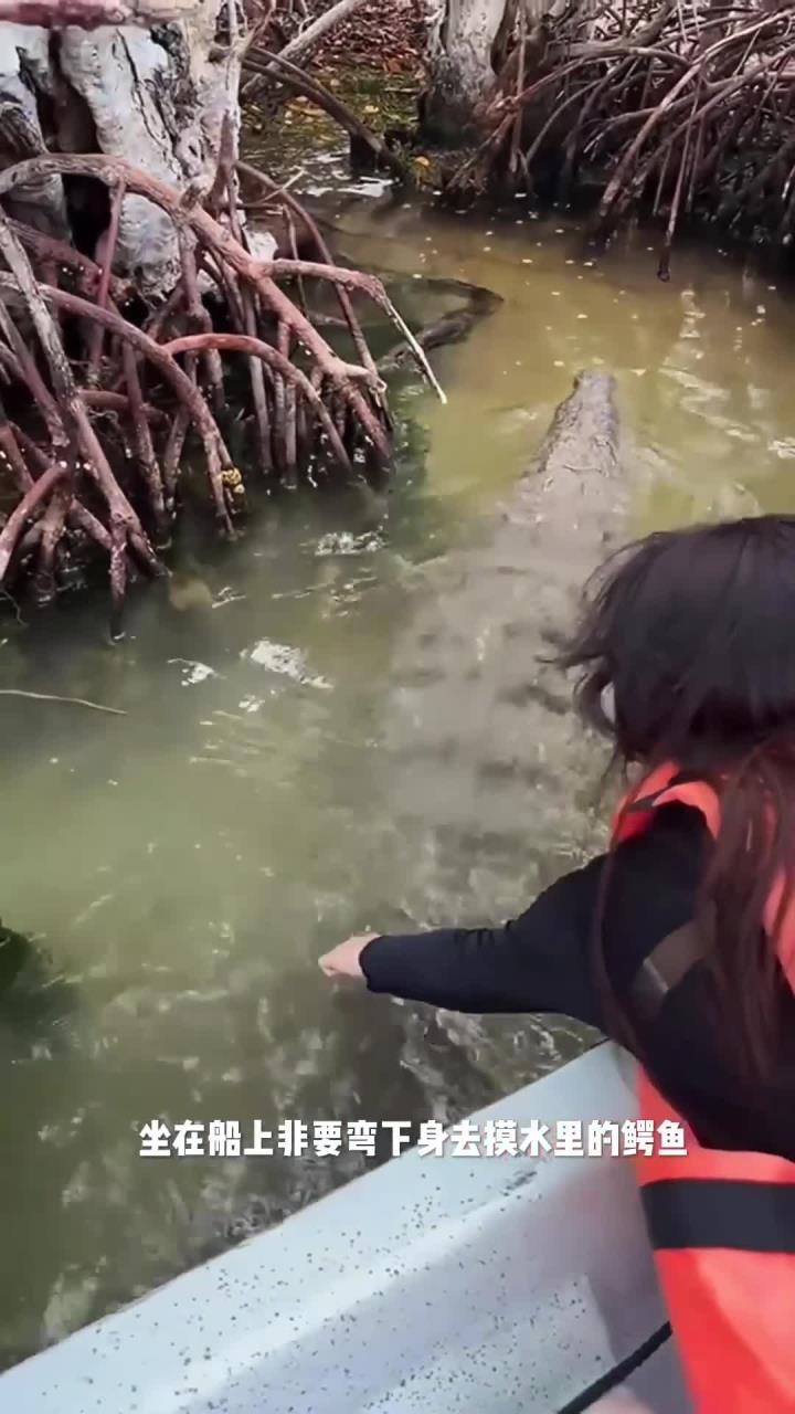 小姐姐不听劝阻,非要摸一下鳄鱼