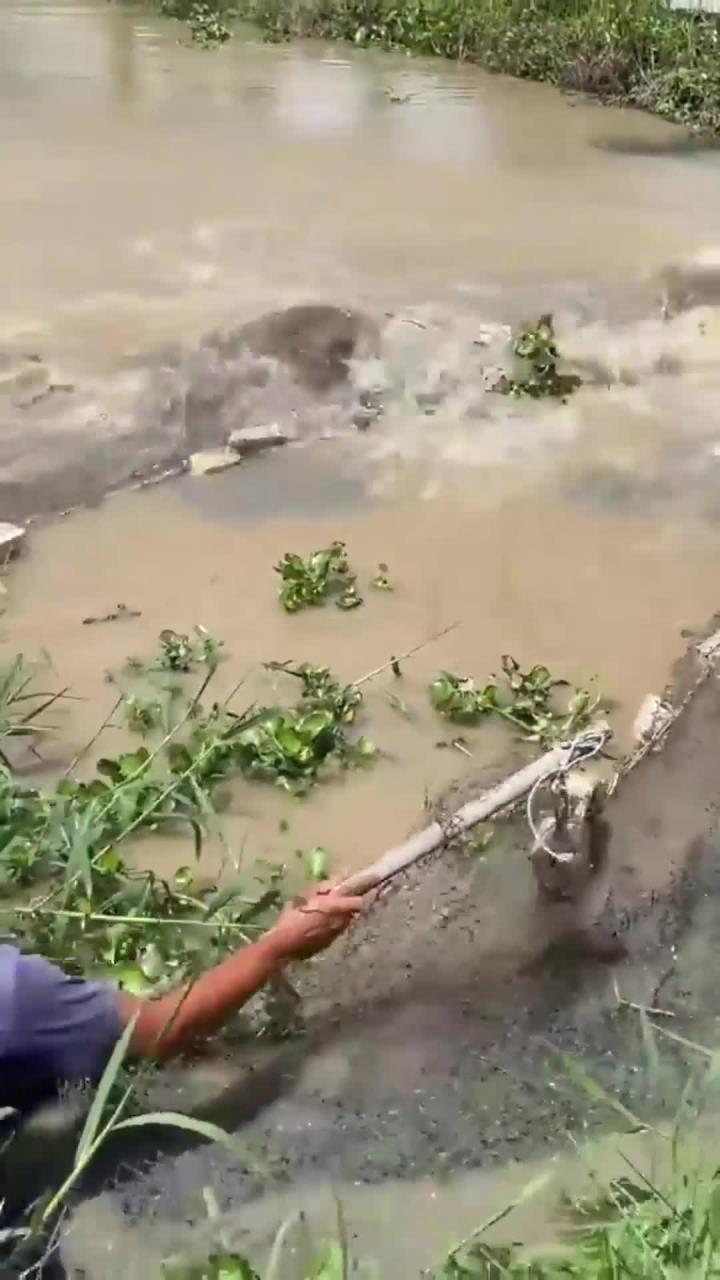 撒网捕鱼