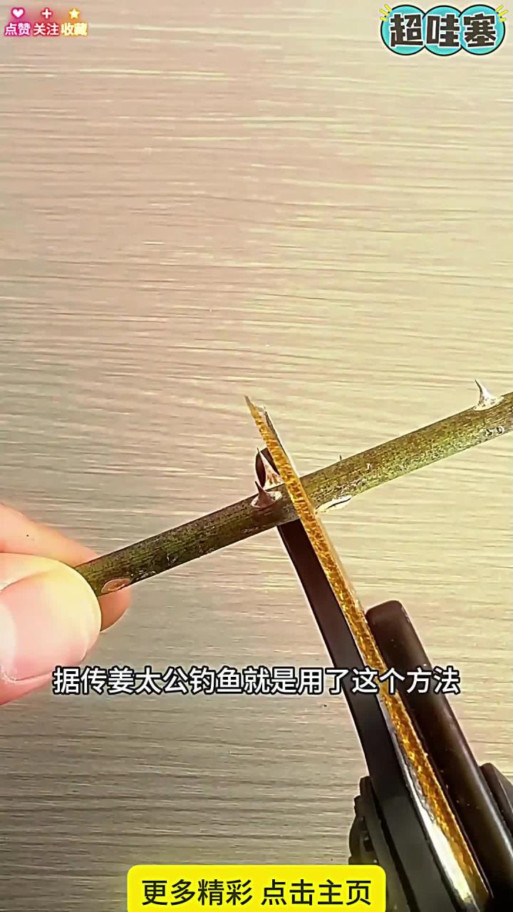 姜太公钓鱼方法