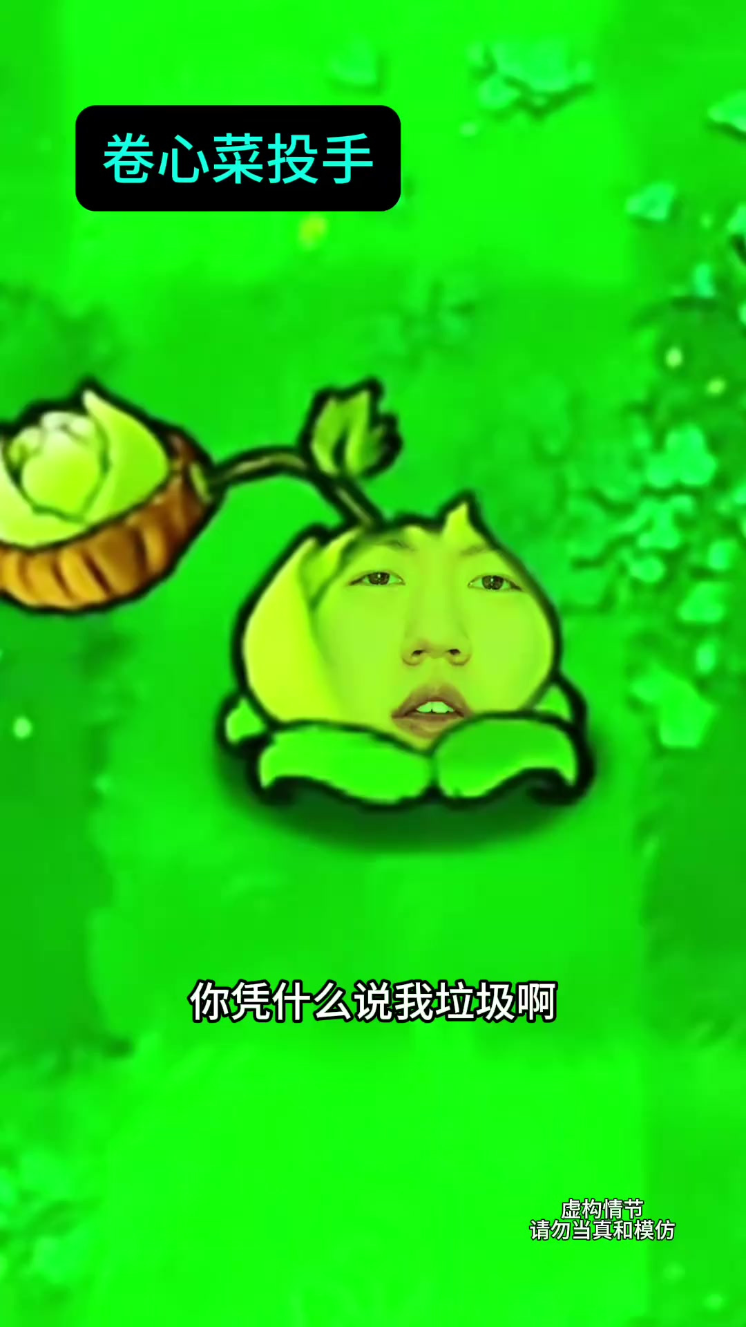 《卷心菜投手日记》