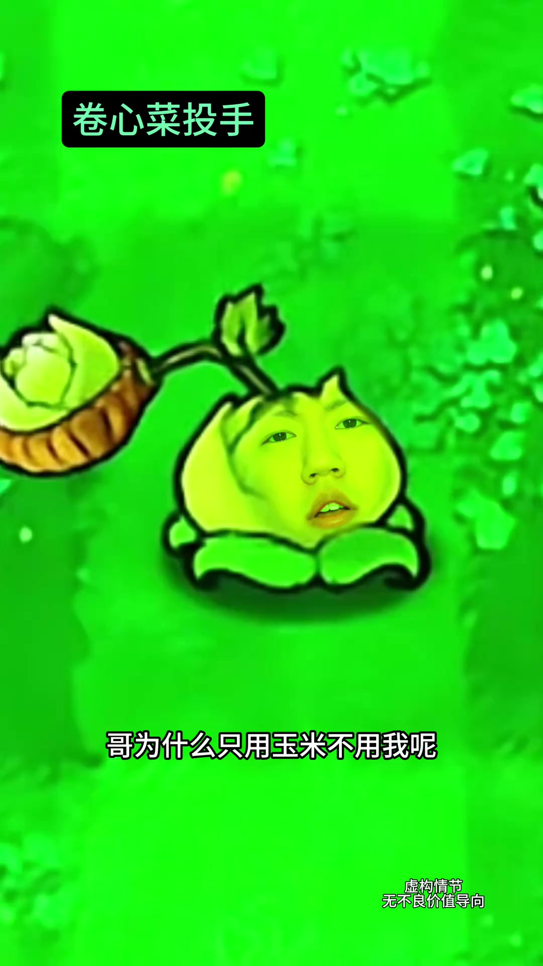 《卷心菜投手日记》