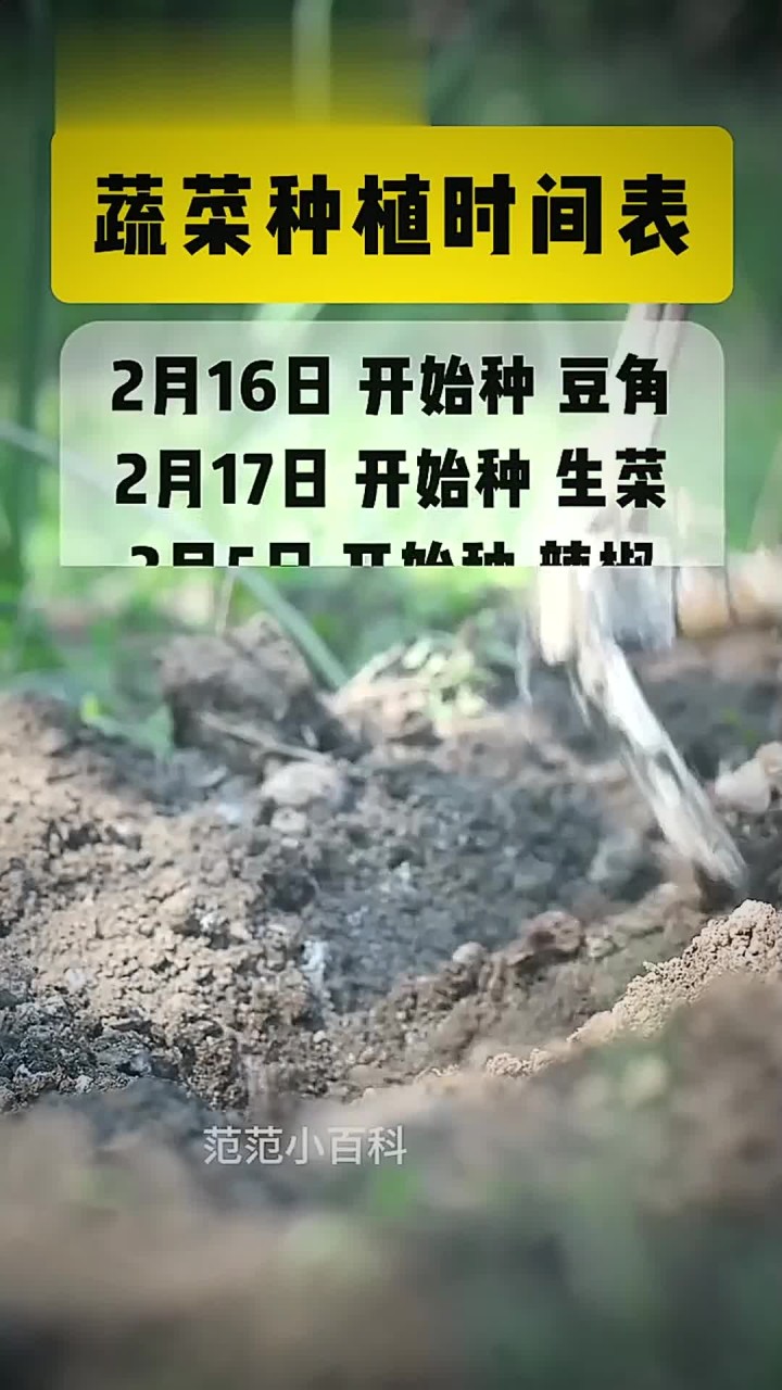 蔬菜种植时间表