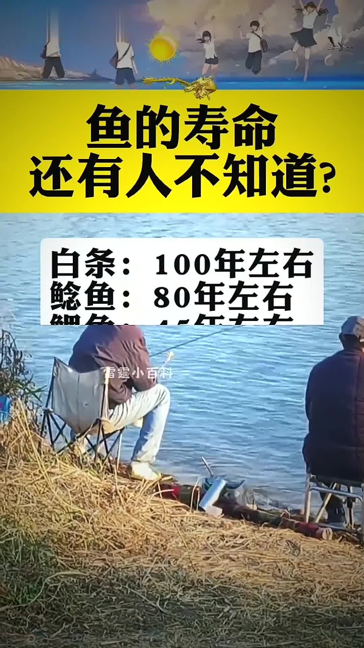 鱼的寿命还有人不知道?