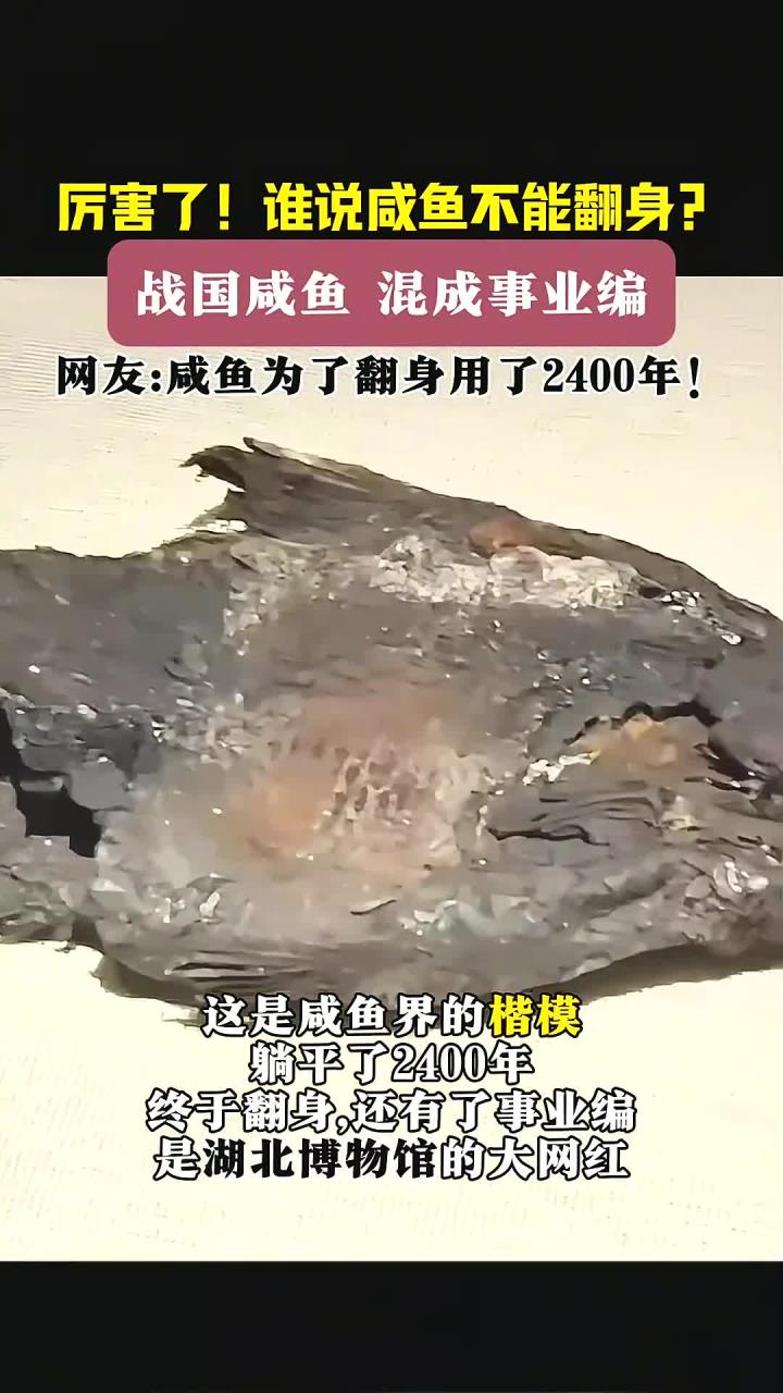 2400年沉寂的咸鱼终于翻身,成功逆袭成事业编!