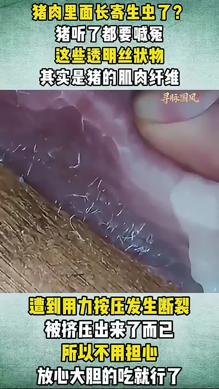 猪肉里面有寄生虫?猪:我死的有点冤,涨知识了