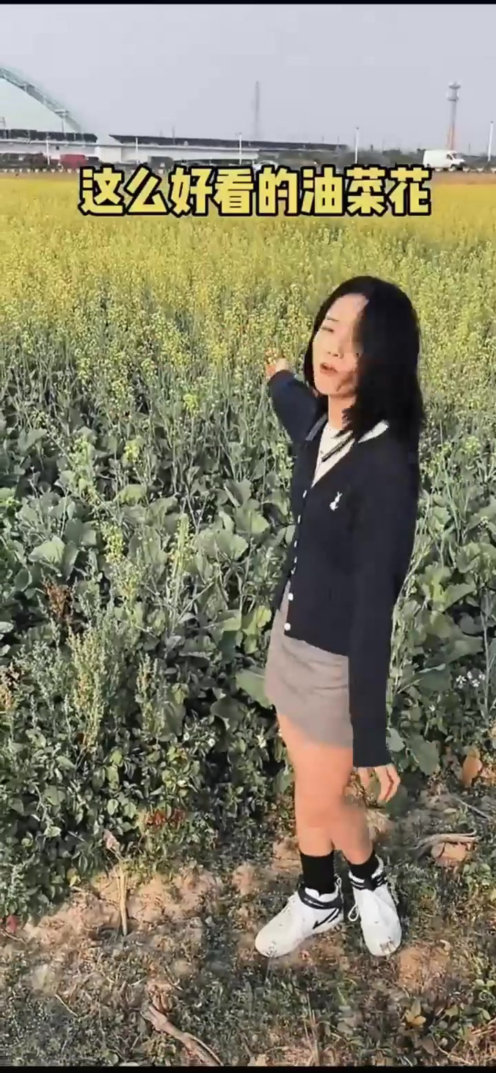 女生油菜花拍照技巧，快叫你的笨蛋男朋友来学！