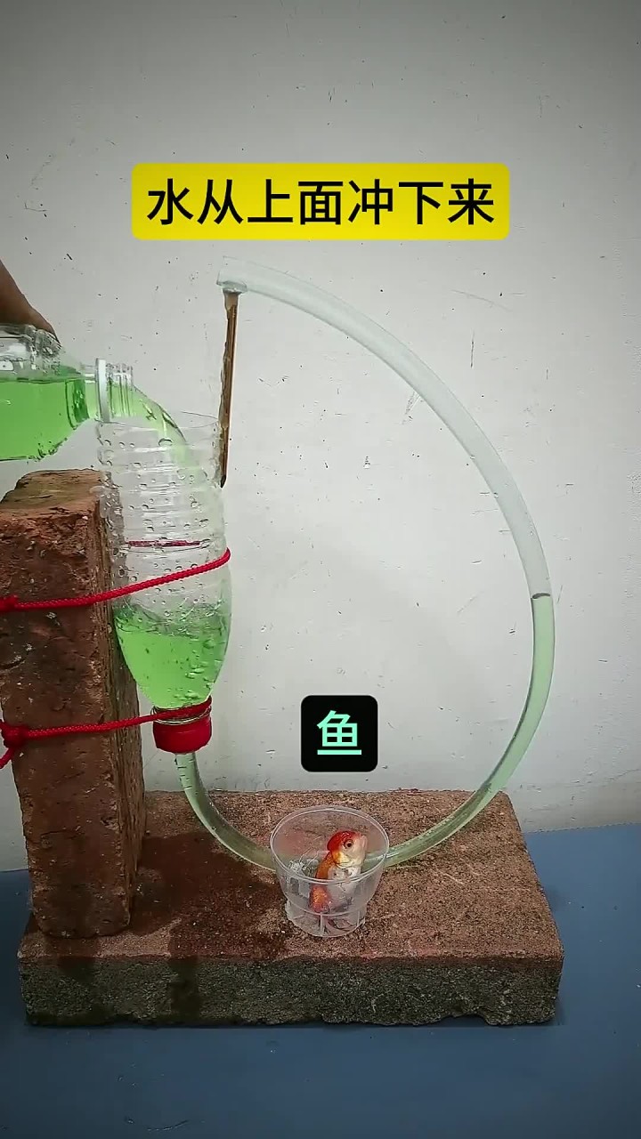 自制的养鱼水循环器