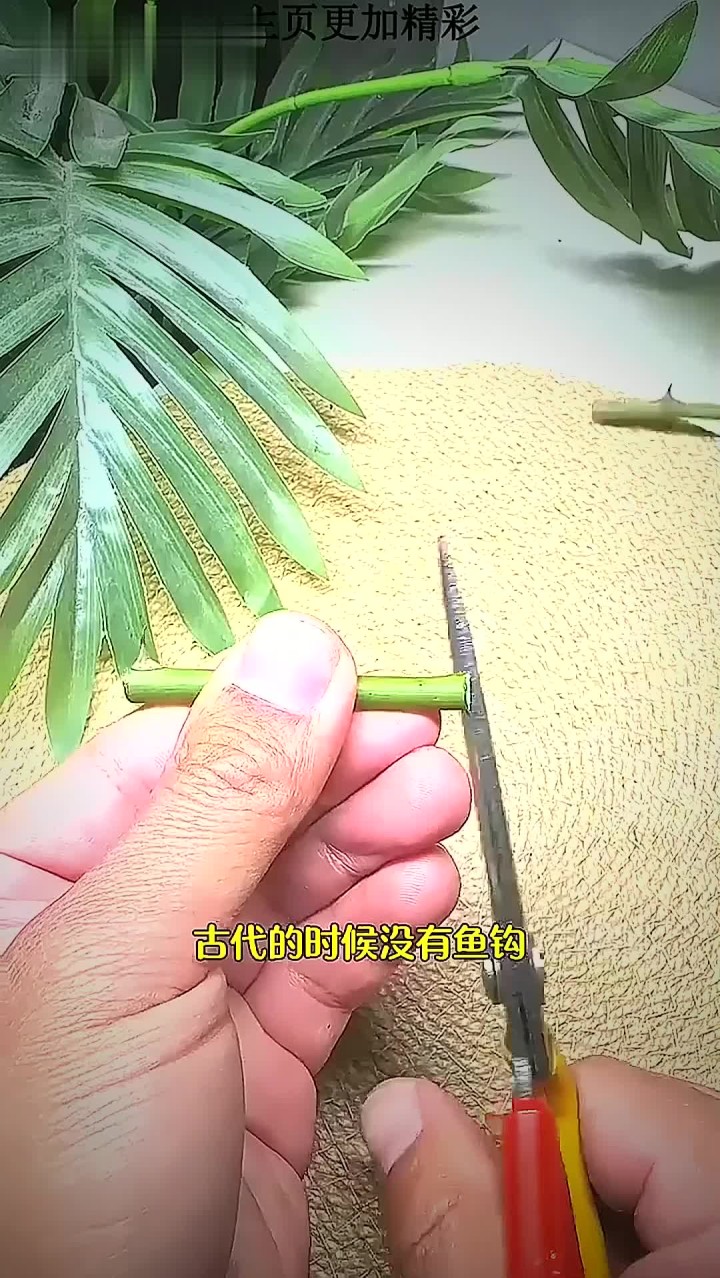 古代钓鱼小技巧 古代钓鱼小技巧