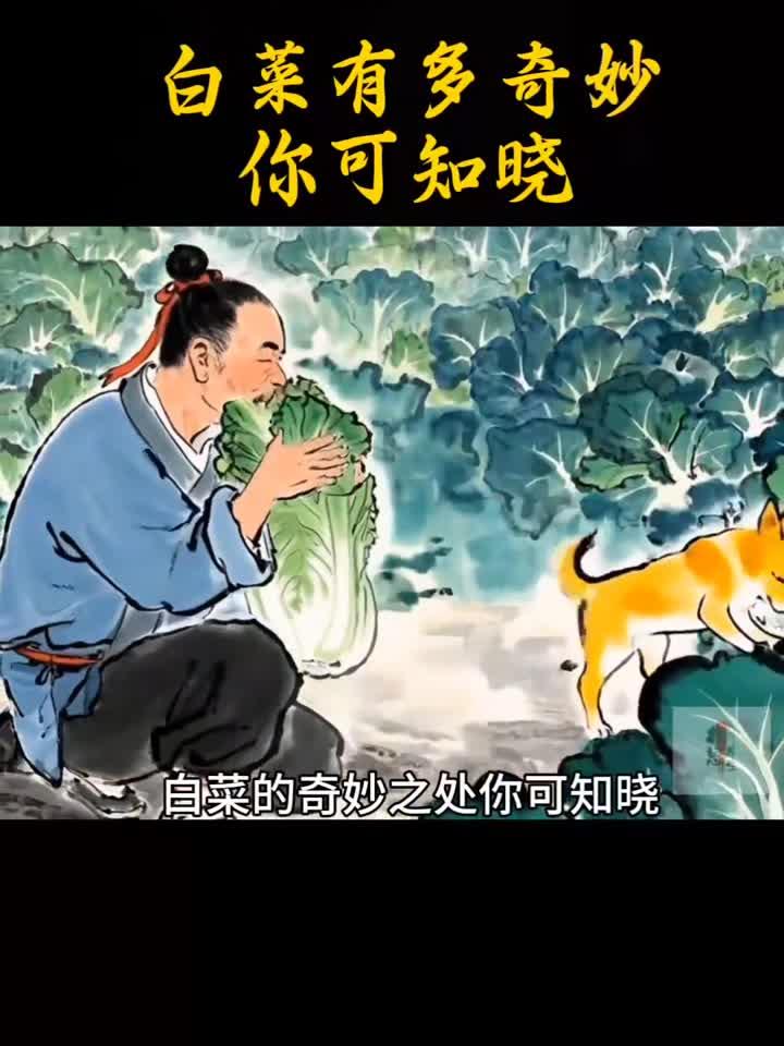 白菜煮水有多厉害？