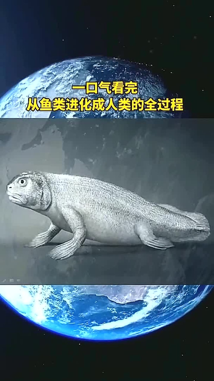 一口气看完从鱼类进化成人类的全过程?