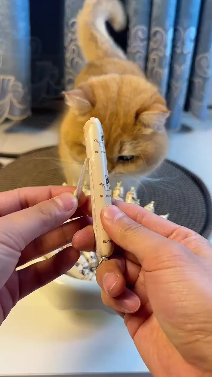 千万别给猫吃人吃的火腿肠