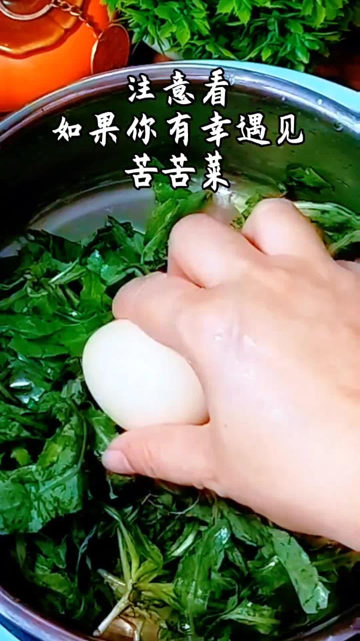苦苦菜煮鸡蛋