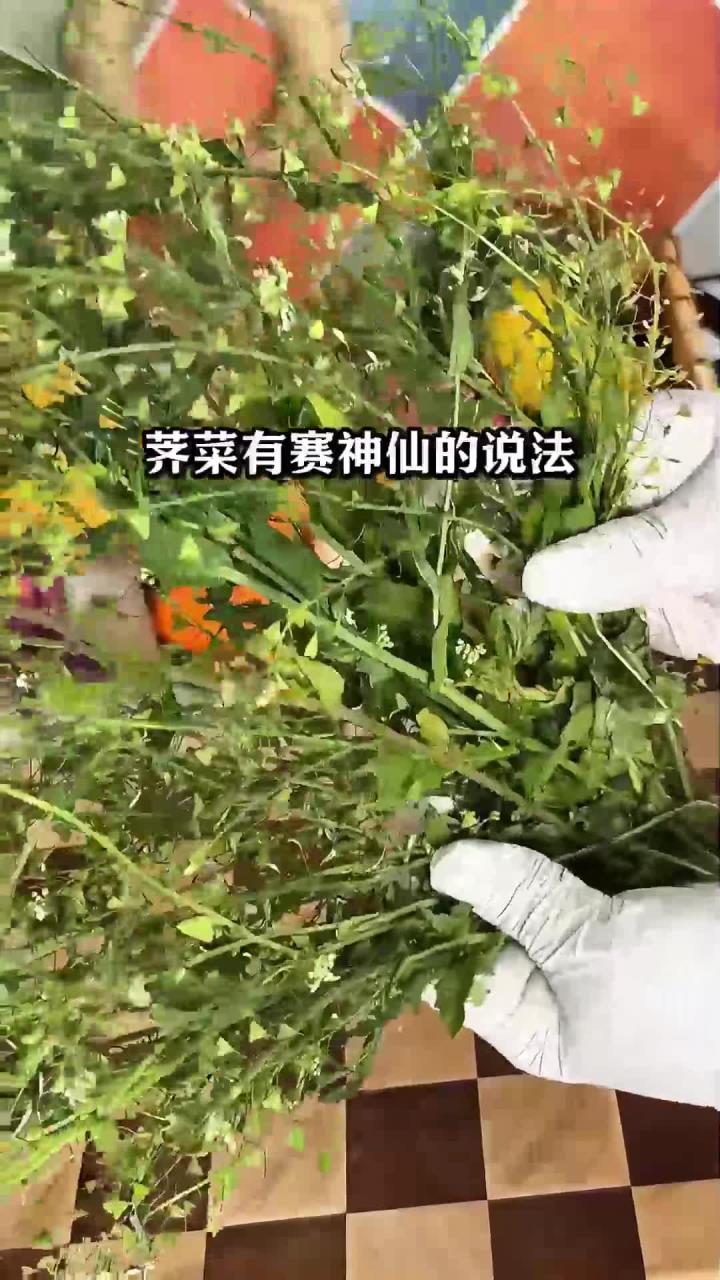湿气重的姐妹一定要试试，晨起一碗荠菜粥，告别湿气困扰，活力满满！