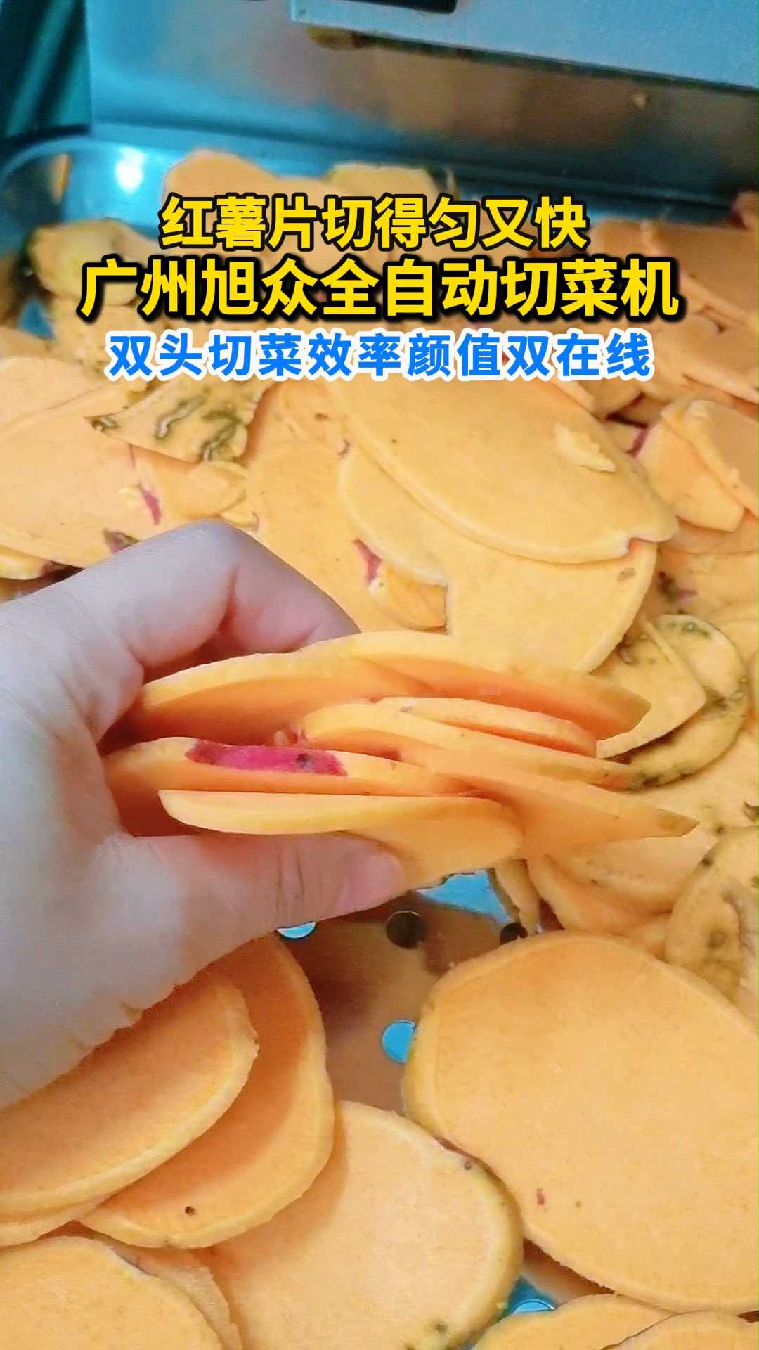 红薯片切得匀又快！旭众全自动切菜机
