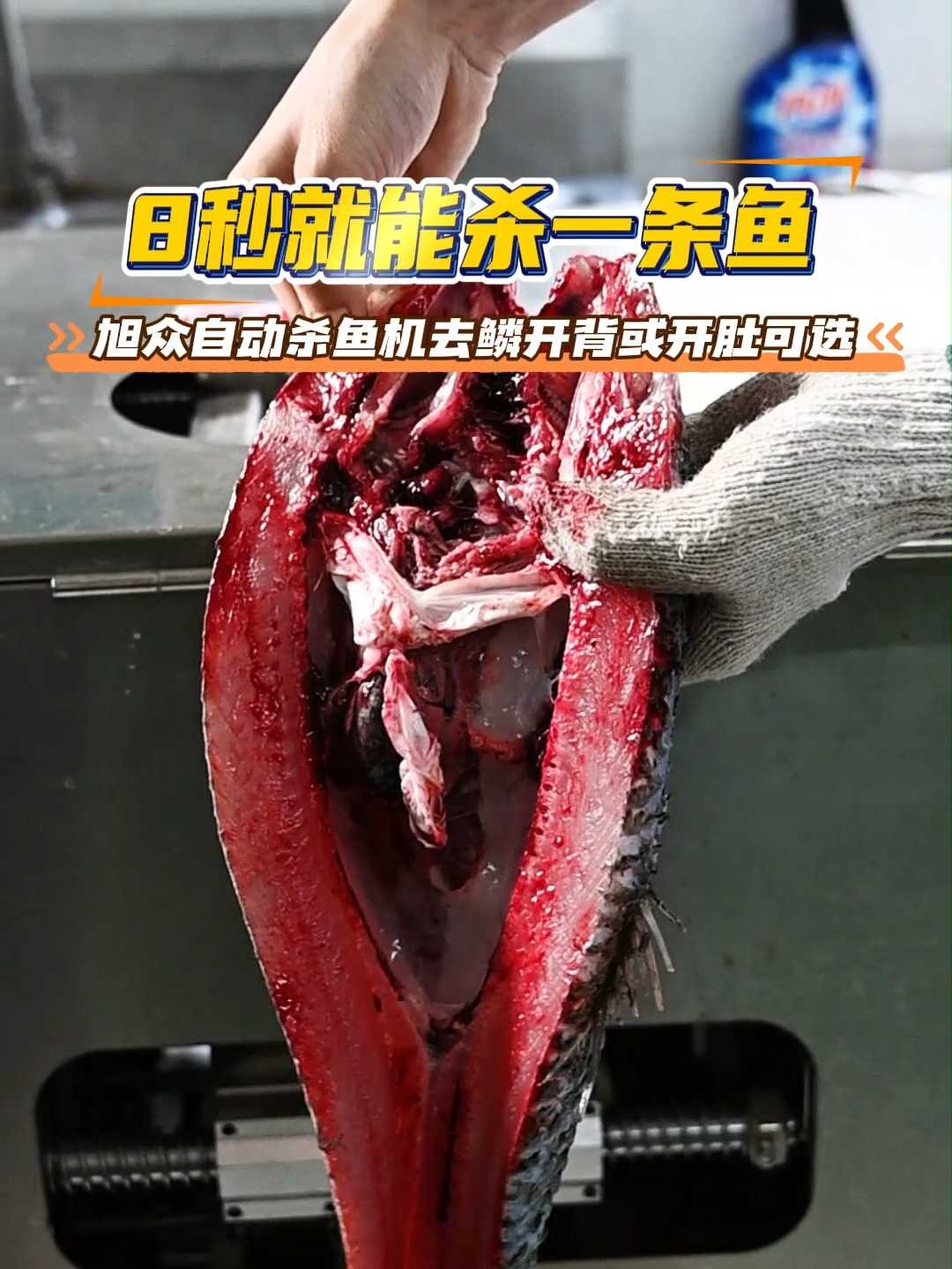 8秒就能杀一条鱼旭众自动杀鱼机去鳞开背或开肚可选