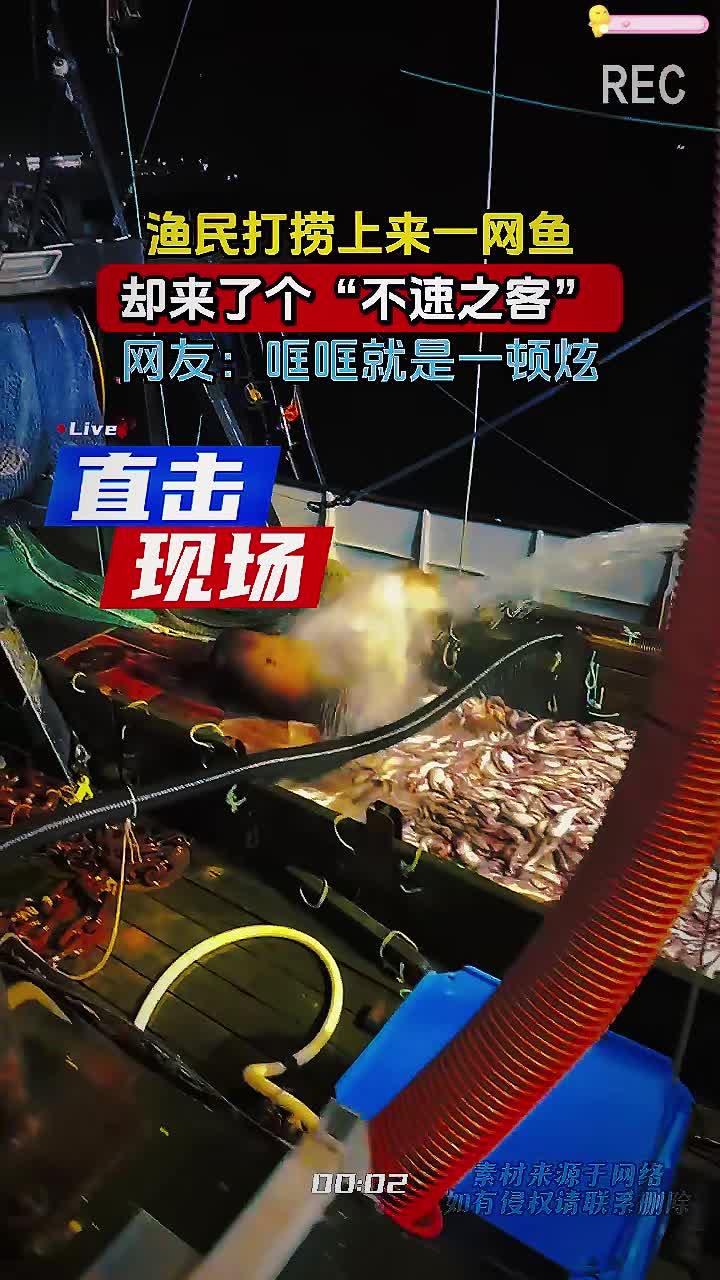 渔民打捞上来一网鱼，却来了个“不速之客”，网友：哐哐就是一顿炫