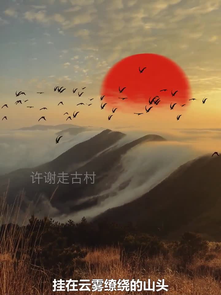 这大自然的滤镜也太绝了，红日云海配飞鸟，美得像画一样