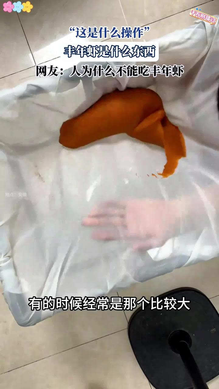 丰年虾是什么东西,网友:人为什么不能吃丰年虾