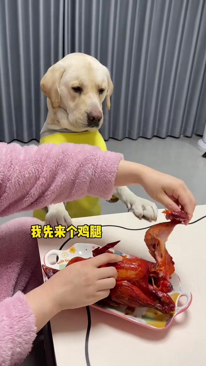 谁家好狗 爱吃鸡屁股啊……