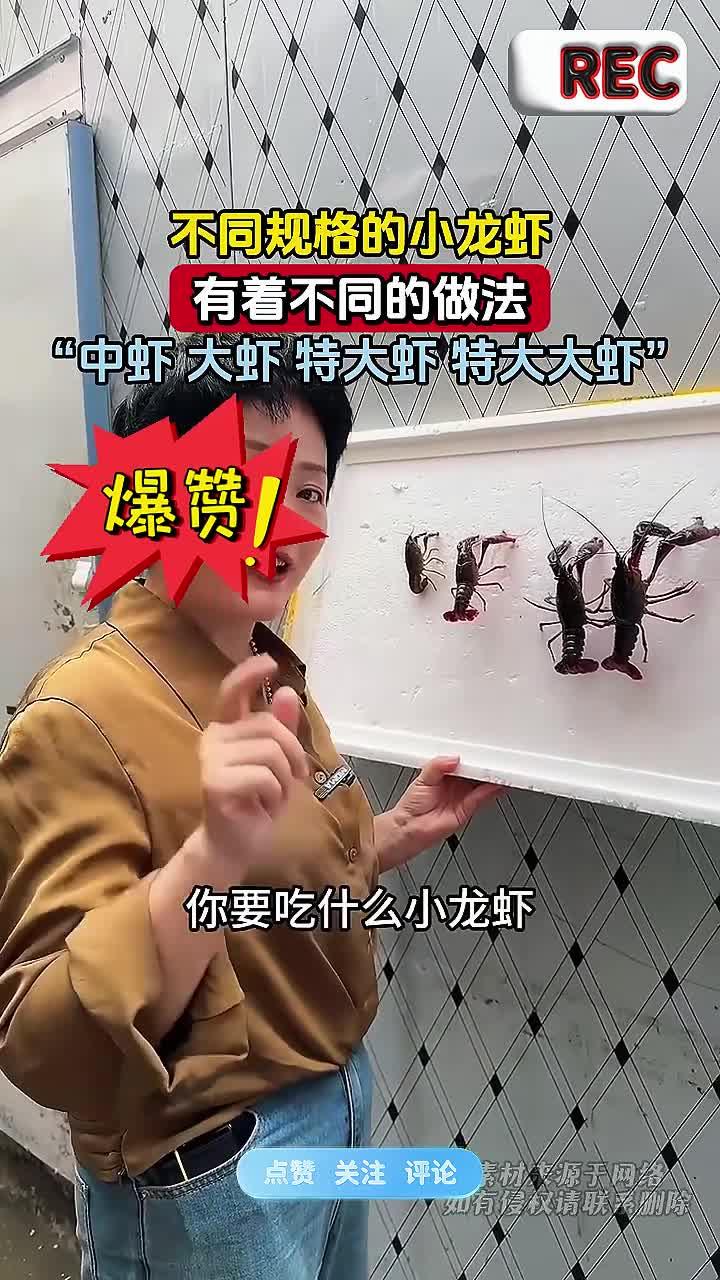 不同规格的小龙虾,有着不同的做法,“中虾 大虾 特大虾 特大大虾”