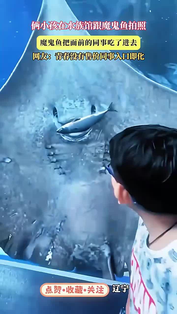 小孩水族馆与魔鬼鱼拍照，意外发生惊险瞬间 (1)