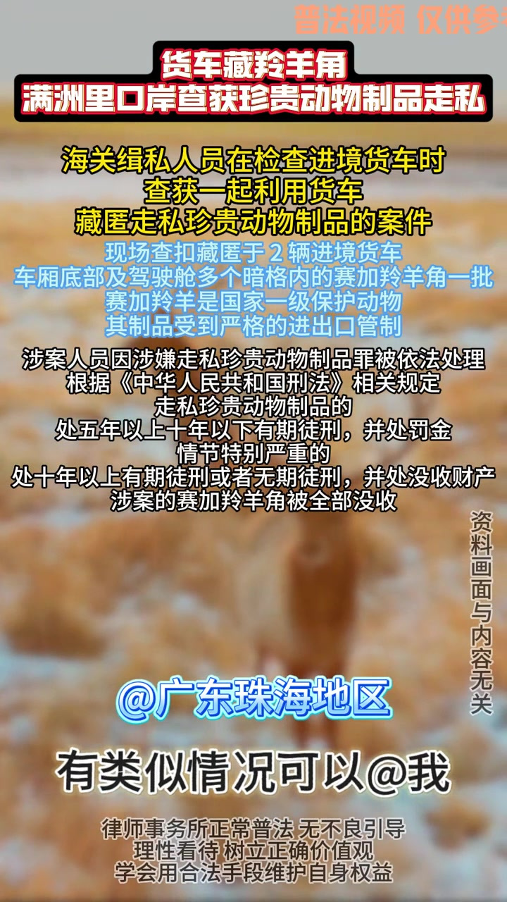 货车藏羚羊角,进境时被查获!羚羊角