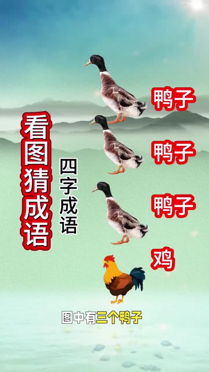 三鸭一鸡猜成语,难倒众人