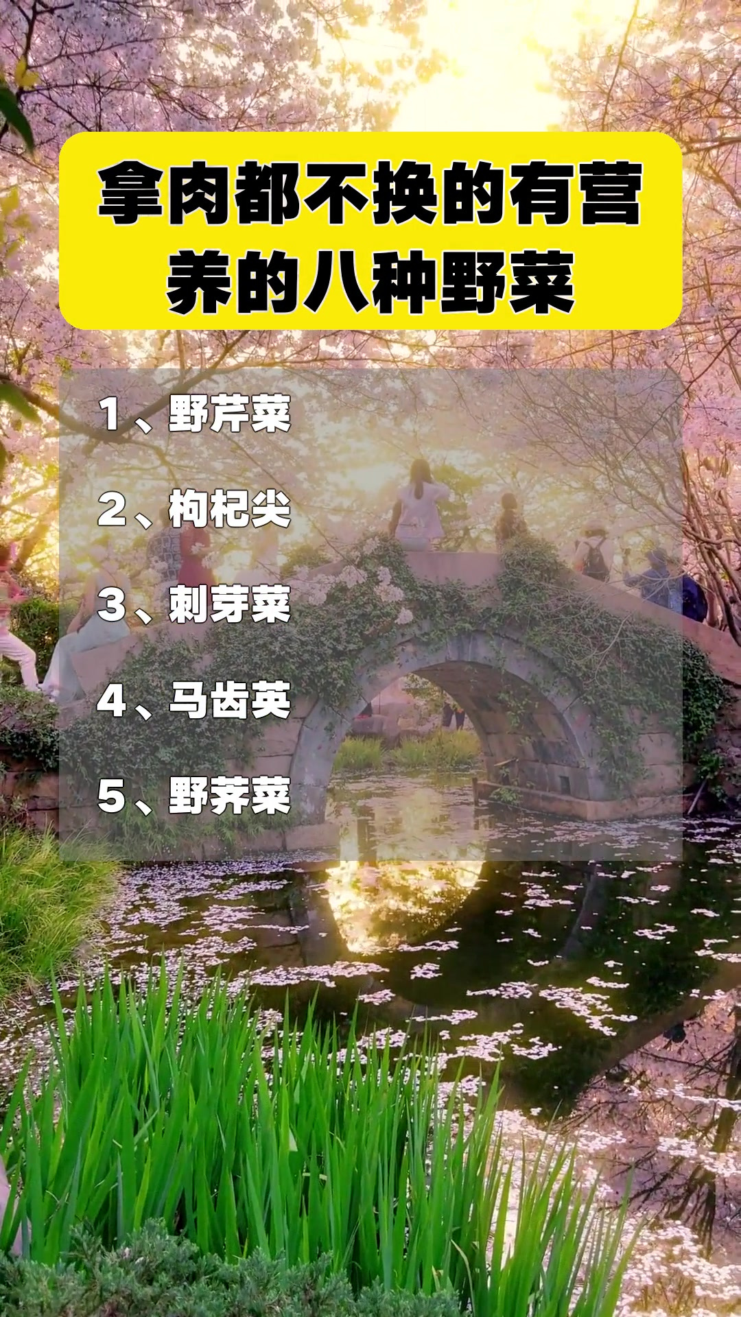 拿肉都不换的有营养的八种野菜