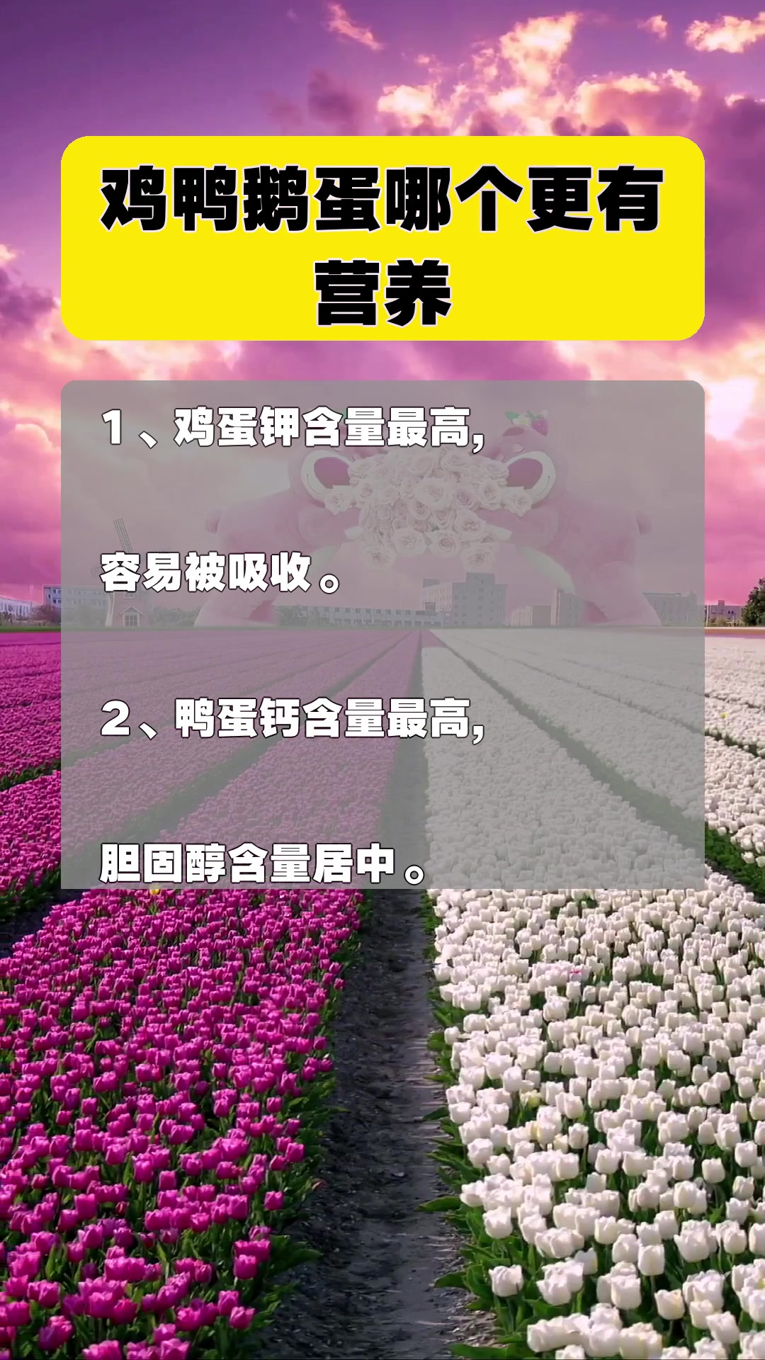 鸡鸭鹅蛋哪个更有营养
