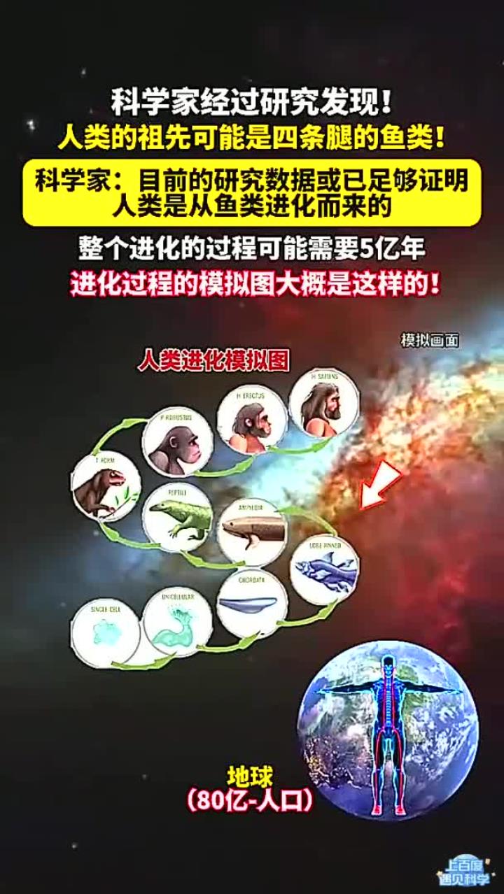 科学家经过后研究发现！人类的祖先可能是四条腿的鱼！