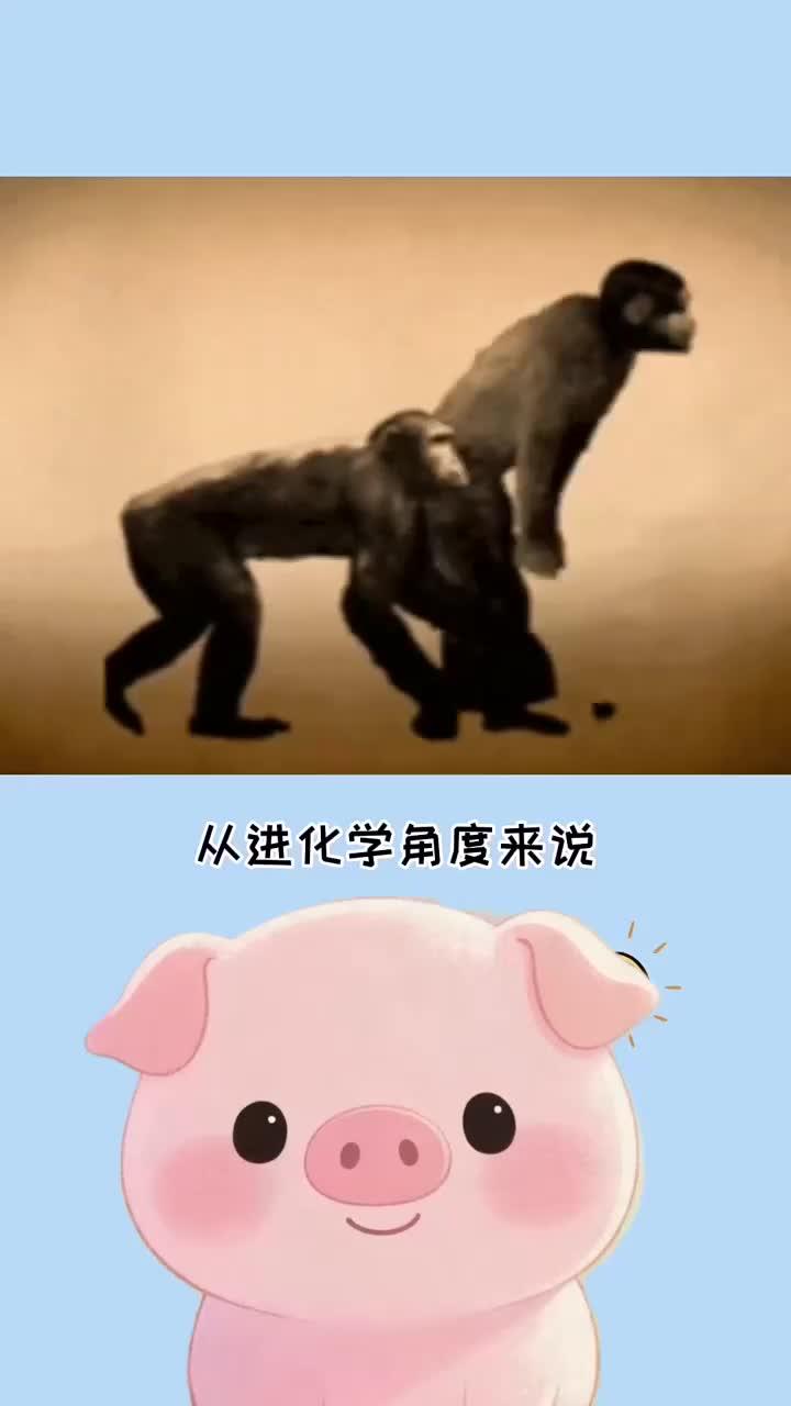 腹肌的最佳数量你原来都误解了，你有几块腹肌