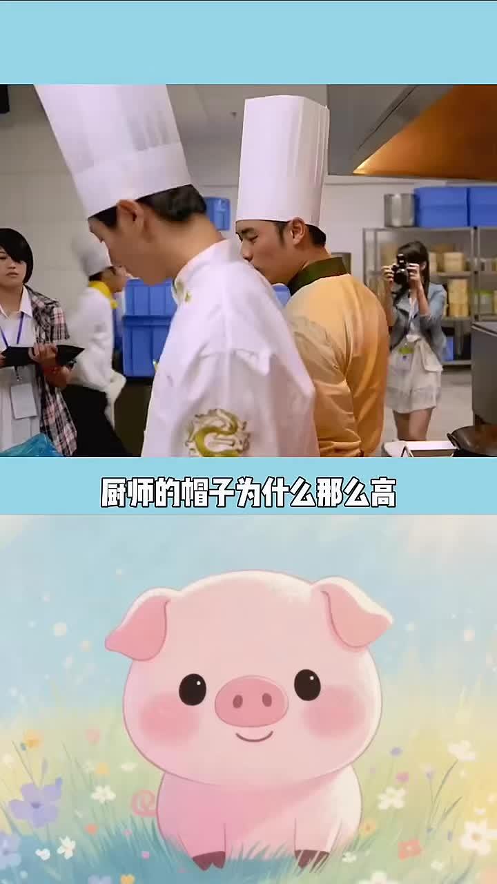 每天分享一个冷知识:厨师帽子为什么那么高