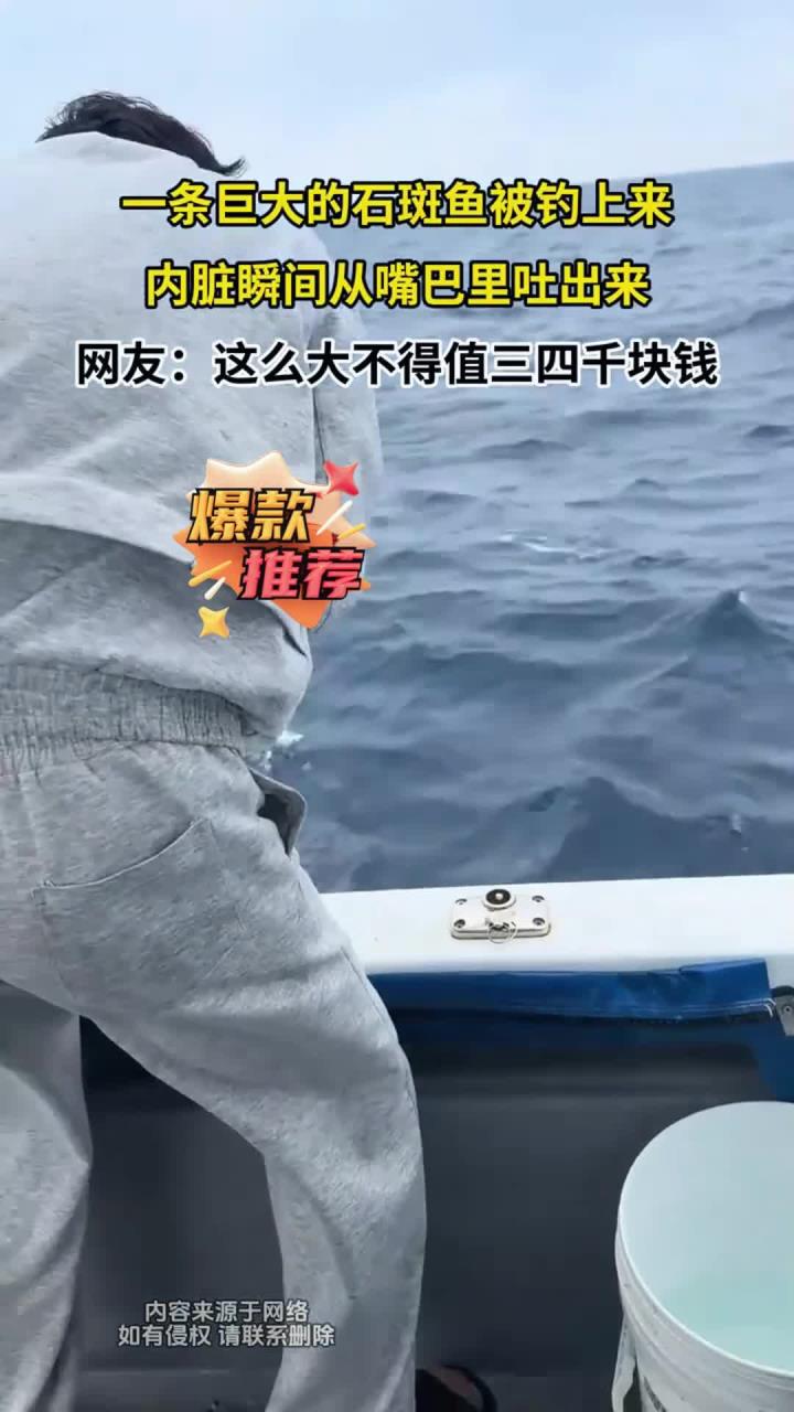 一条巨大的石斑鱼被钓上来，内脏瞬间从嘴巴里吐出来