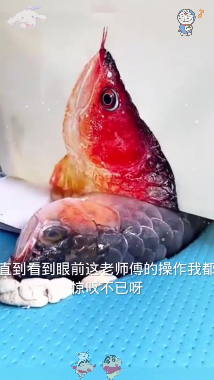  这鱼涂上颜色直接印在纸上