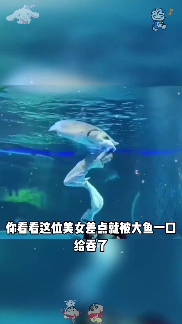  把美人鱼给吞了!吓了我一大跳,什么档次游这个池子?