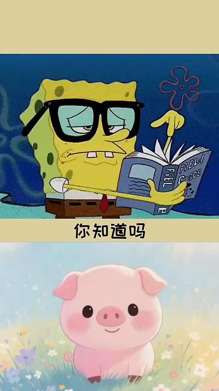 方便面里的碎渣竟然是厂家故意放进去的