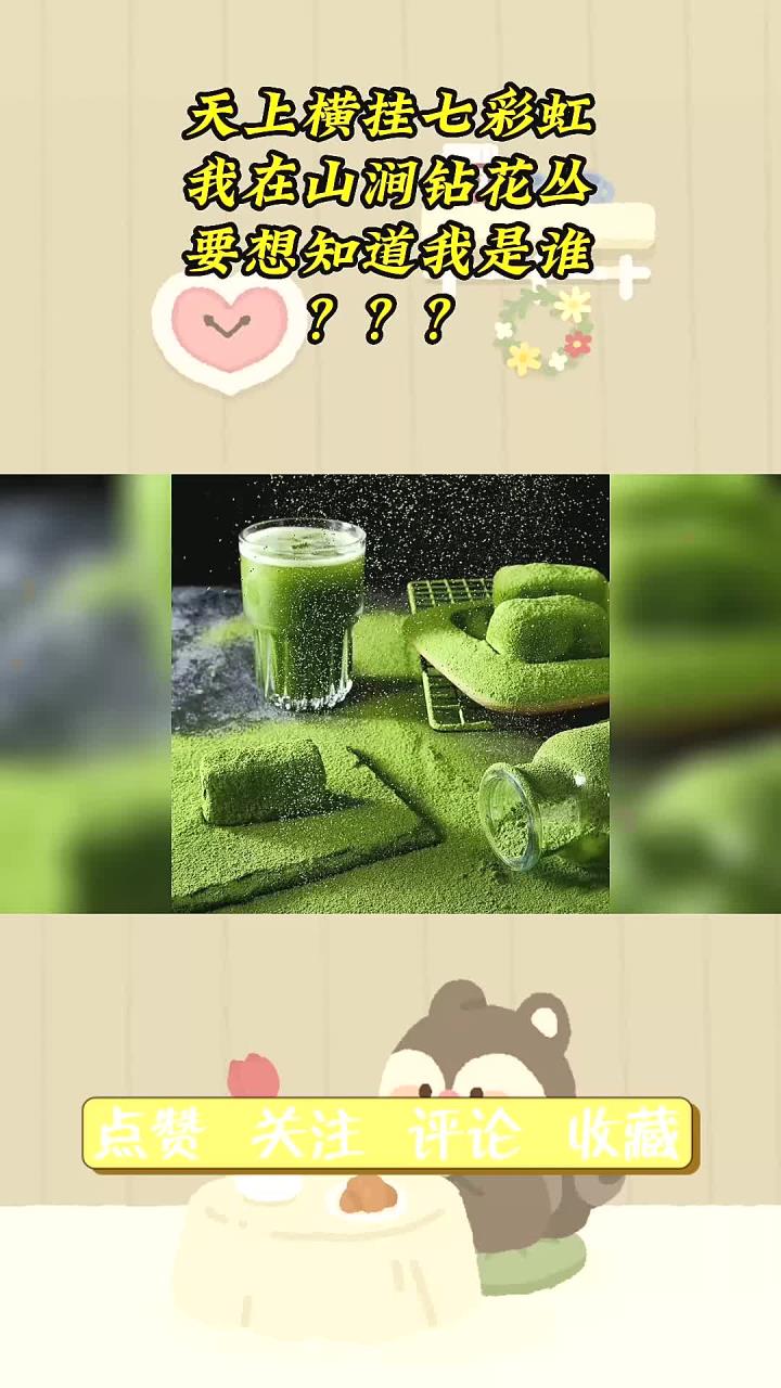 抹茶鼻祖,竟来自上古?