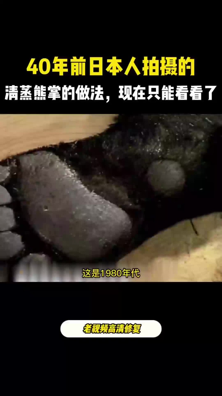 40年前日本人拍摄的清蒸熊掌,现在是保护动物,再也吃不到了