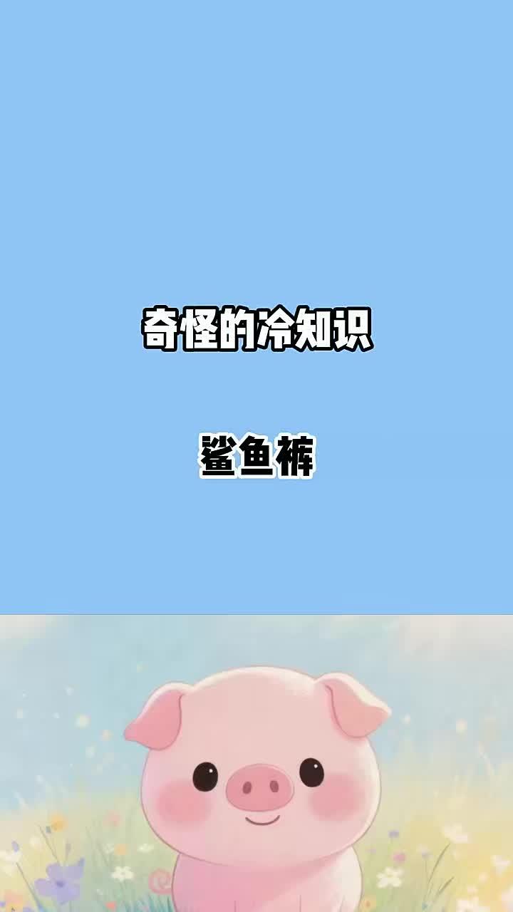 穿鲨鱼裤的女生真的很好看