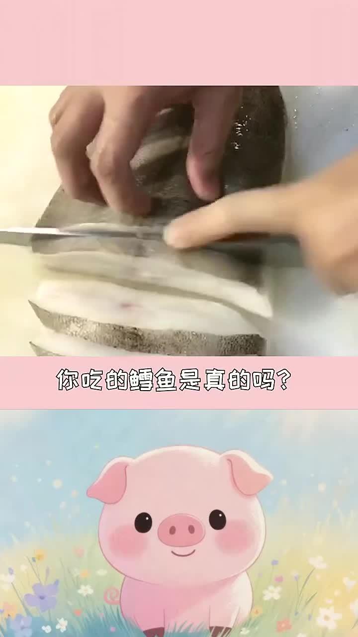 每天分享一个冷知识:你吃过真的鳕鱼吗?