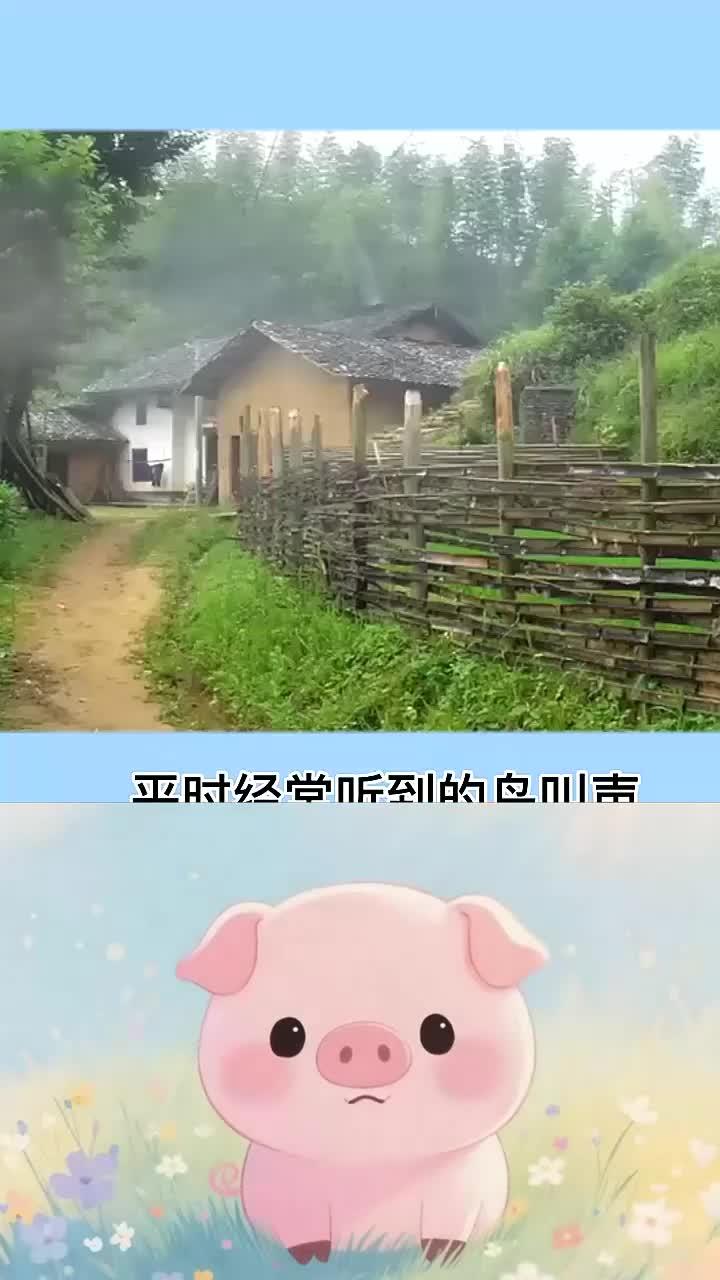 听听这些鸟叫声,仿佛回到大自然,后面三个是我们经常听到的