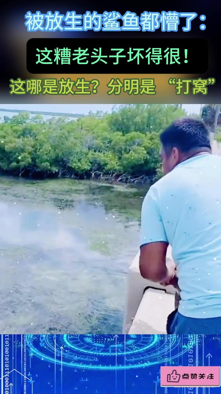 这不叫放生，这应该叫打窝吧！鲨鱼：糟老头子坏得很！