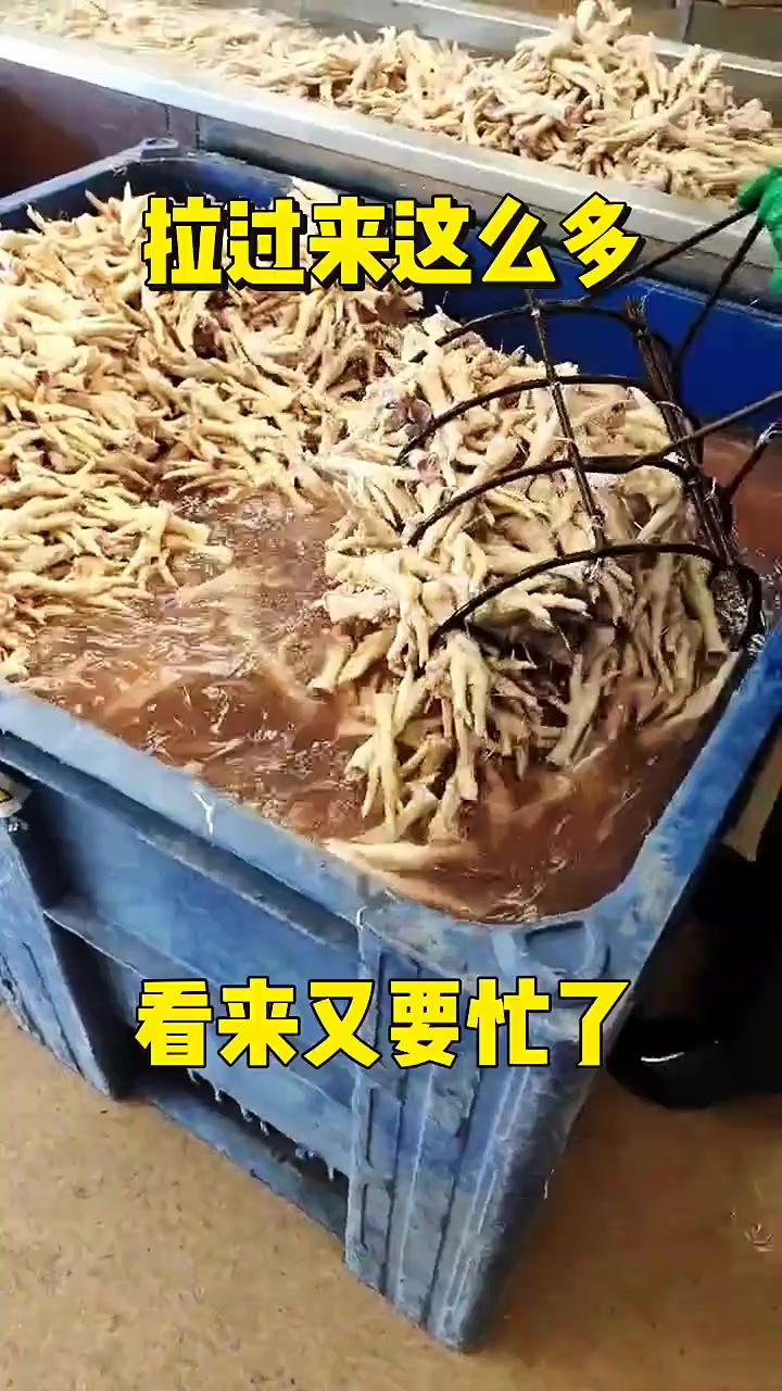 拉过来这么多鸡爪子