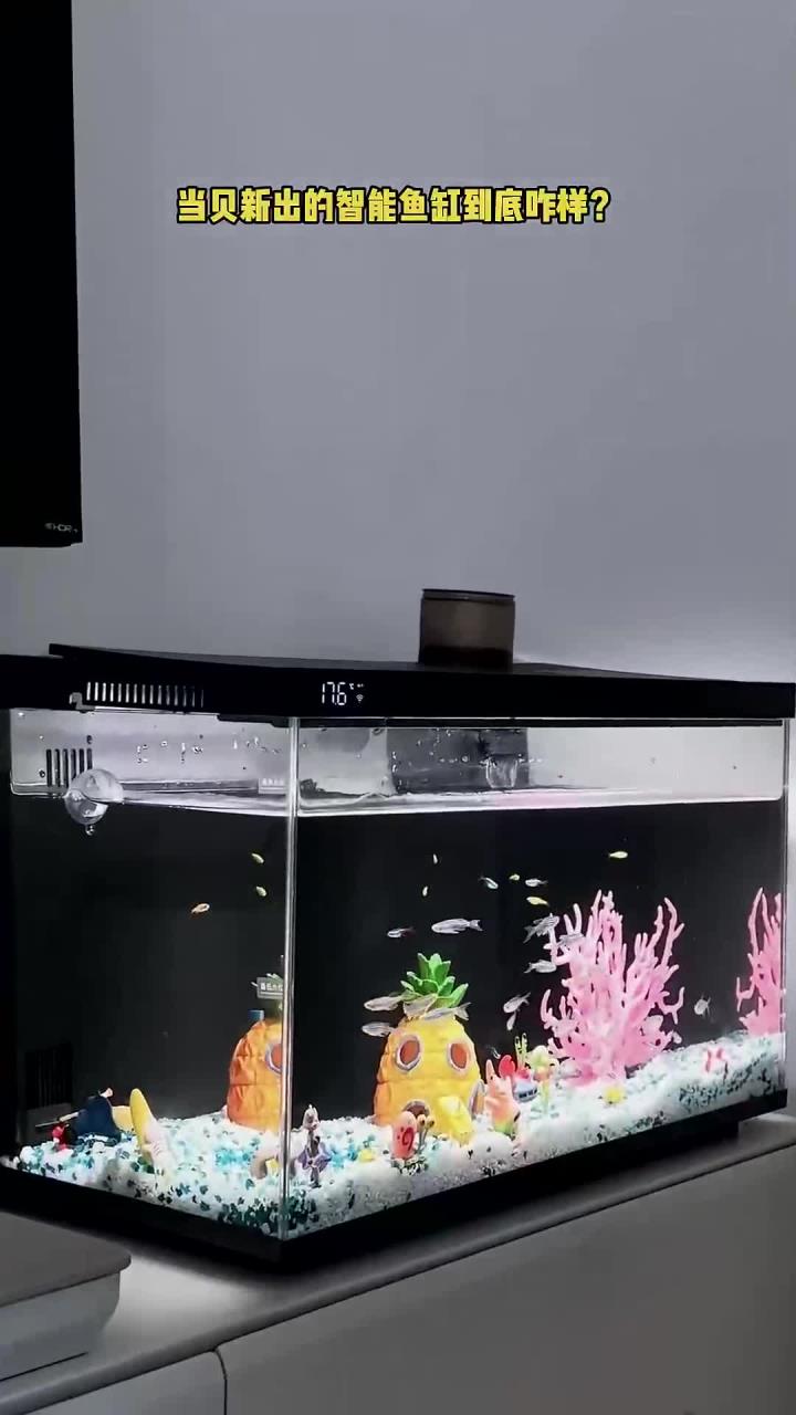 当贝新出的智能鱼缸到底怎么样?入手后说说我的体验