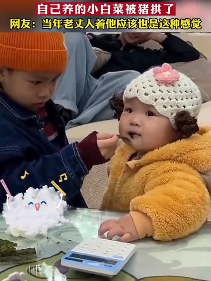 爸爸眼睁睁的看着,自己养的小白菜被别人家小猪拱了